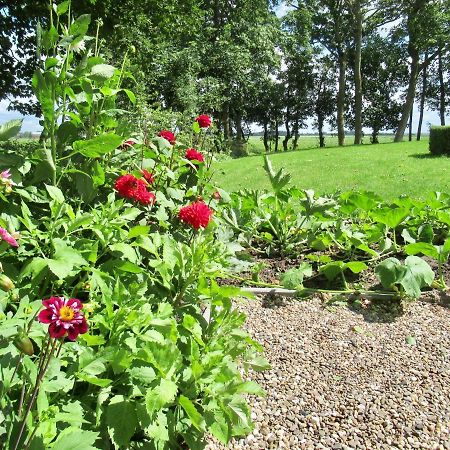 B And Be Happy Friesland Lioessens Extérieur photo