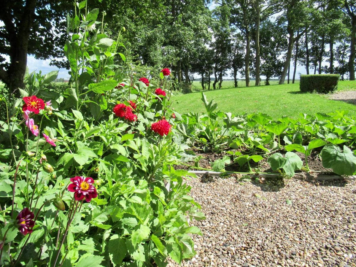 B And Be Happy Friesland Lioessens Extérieur photo